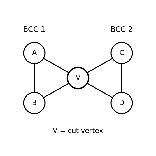 Biconnected Components
